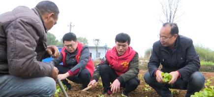 湖南省各地青年志愿者深入田间地头助力“春耕生产”